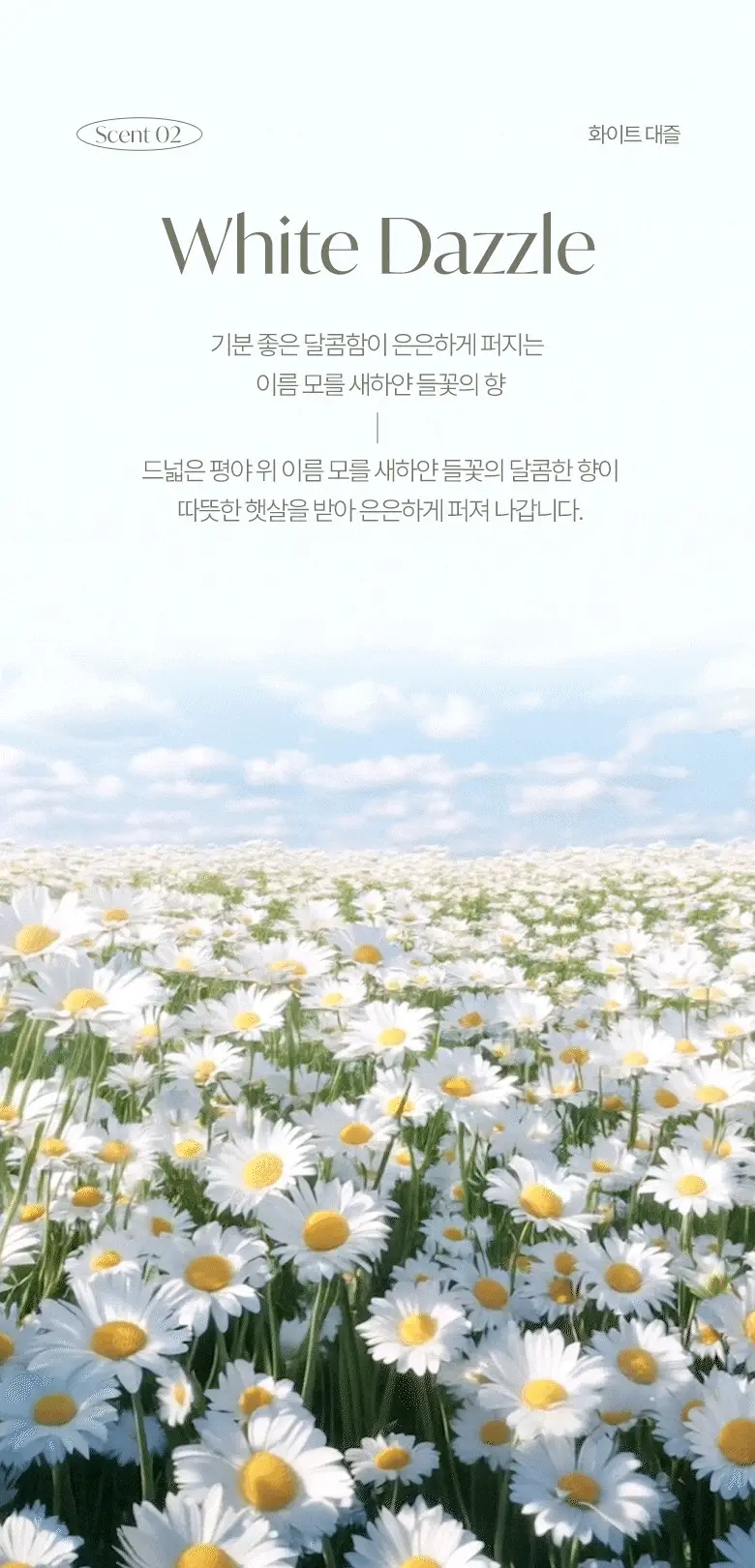 [탈취만족100%] 라운드어라운드 편백 클린 스프레이160ml/리필기획 상세페이지 19